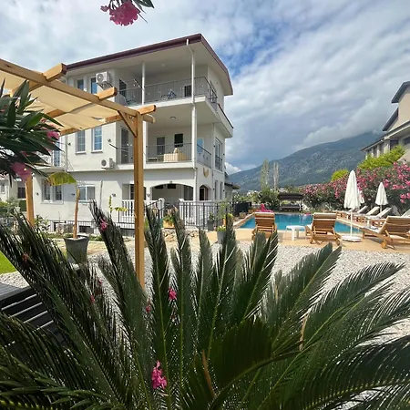 Tetra Clover 费特希耶