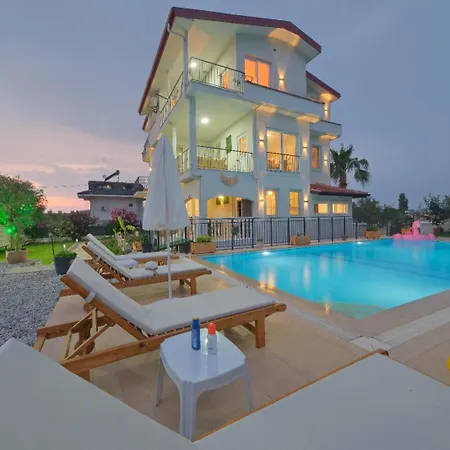 Tetra Clover 페티예